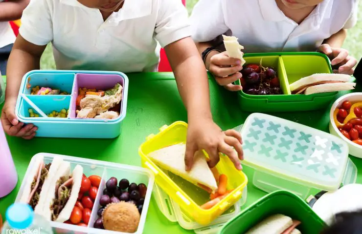 Read these interesting ideas about School Lunch for Kids.