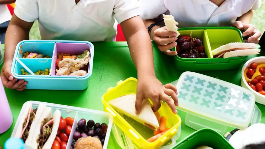 Read these interesting ideas about School Lunch for Kids.