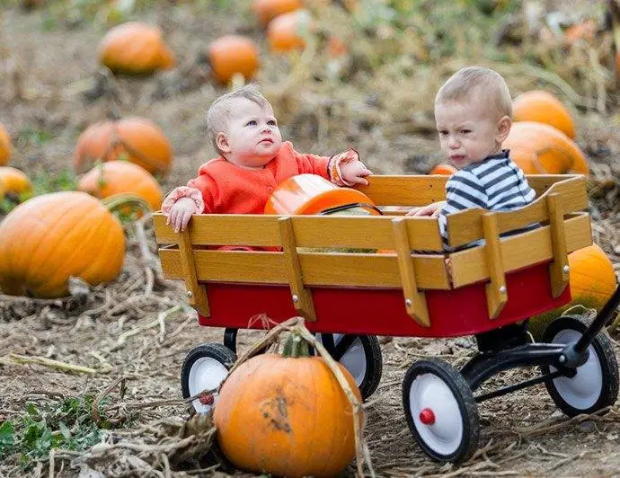 top kids wagons