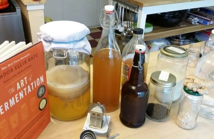 Healthy Family : Growing a Kombucha Scoby