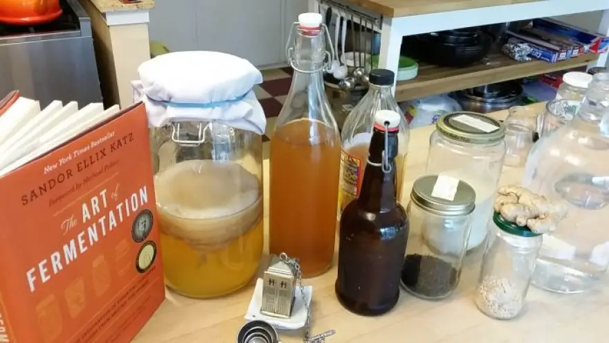 Healthy Family : Growing a Kombucha Scoby