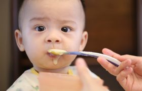 10 Best Baby Food Recipe Books and Cookbooks Reviewed in 2022