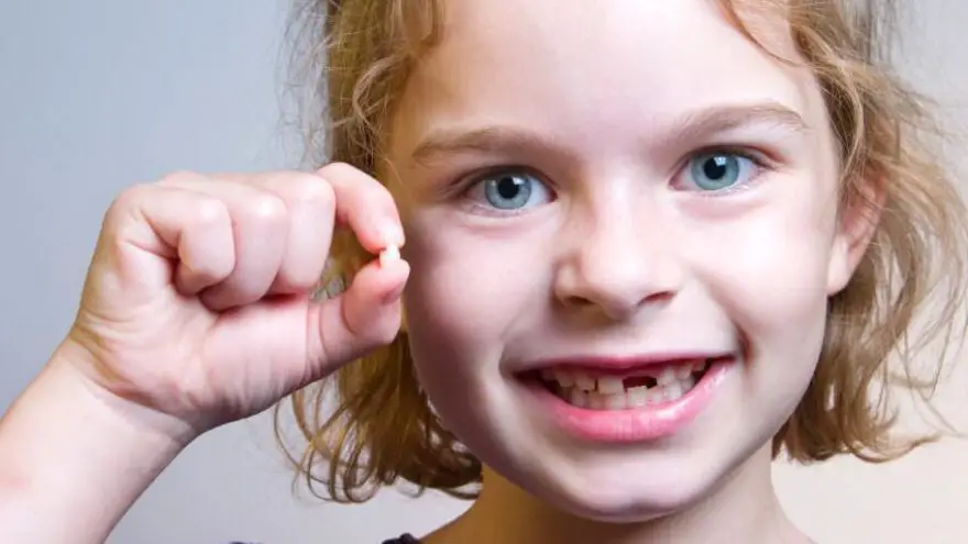 The Remarkable Process of Losing Baby Teeth The Remarkable Process of Losing Baby Teeth