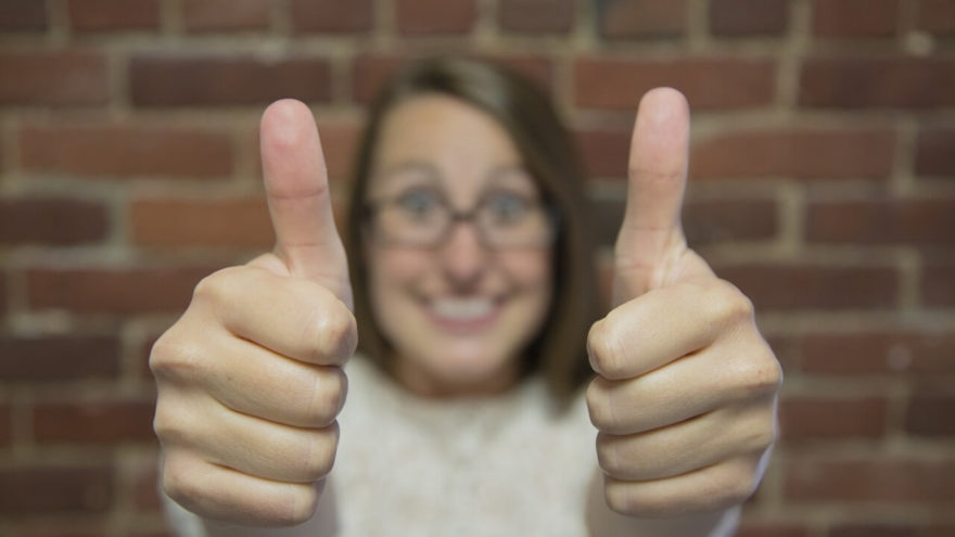 Turn the Inner-Critic into the Inner-Nurturer Turn the Inner-Critic into the Inner-Nurturer