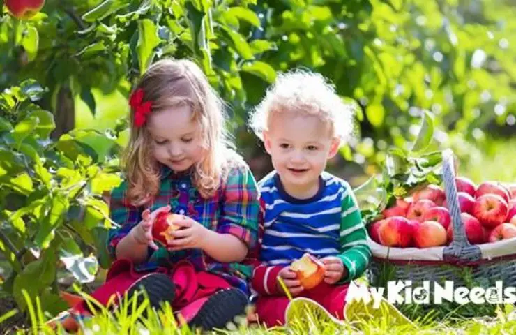 Here are the 10 Best Vitamins for Kids & Toddlers.