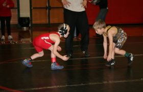 10 Best Wrestling Shoes for Kids Reviewed in 2023
